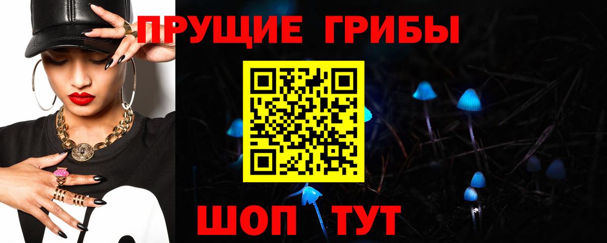 Сорочинск  Галлюциногенные грибы MAGIC MUSHROOMS  Вход с VPN 